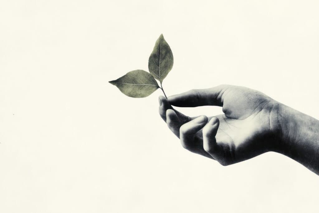 Accompagnement RSE à Paris île de France